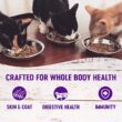 Wellness Complete Health Natural Grain Free Chicken Pate Wet Cat Food, 5.5 oz., Case of 24 Wellness Complete Health Natural Grain Free Chicken Pate Wet Cat Food, 5.5 oz., Case of 24