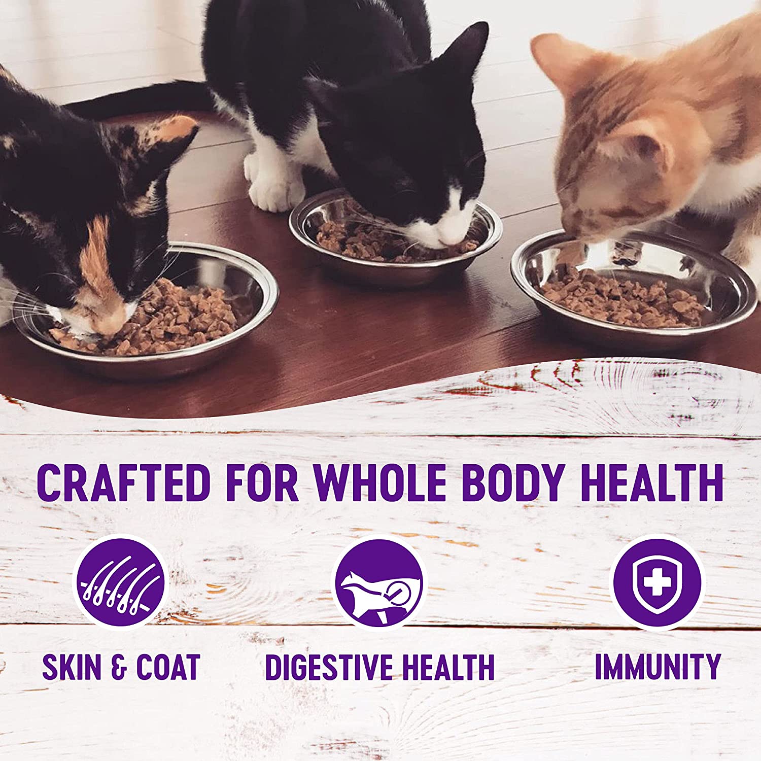 Wellness Complete Health Natural Grain Free Chicken Pate Wet Cat Food, 5.5 oz., Case of 24 Wellness Complete Health Natural Grain Free Chicken Pate Wet Cat Food, 5.5 oz., Case of 24 - Image 4