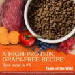 Taste of the Wild High Prairie Grain-Free Roasted Bison & Venison Dry Puppy Food, 5 lbs.