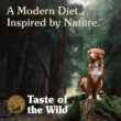 Taste of the Wild High Prairie Grain-Free Roasted Bison & Venison Dry Puppy Food, 5 lbs.