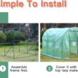 FDW Greenhouse for Outdoors Greenhouse Walk-in Green House L10'xW7'xH7' Plastic Mini Greenhouse Kit Indoor