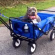 MAC SPORTS WTC-111 Outdoor Utility Wagon, Solid Blue
