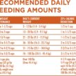 Purina ONE Natural Weight Control Dry Dog Food, +Plus Healthy Weight Formula - 40 lb. Bag