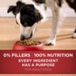 Purina ONE Natural Dry Dog Food SmartBlend Chicken & Rice Formula - 40 lb. Bag
