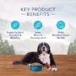 Blue Buffalo Wilderness Rocky Mountain Recipe Natural Adult High Protein Grain Free Large Breed Red Meat Dry Dog Food, 22 lbs.