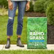 Scotts Turf Builder Rapid Grass 16-lb Mixture/Blend Grass Seed