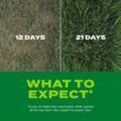 Scotts Turf Builder Rapid Grass 16-lb Mixture/Blend Grass Seed