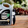 Roundup VB02165 Assortment Bundle Ready to Use Weed and Grass Killer