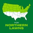 Scotts Turf Builder Rapid Grass 16-lb Mixture/Blend Grass Seed
