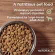 Diamond Naturals Large Breed Adult Chicken and Rice Dry Dog Food, 40 lbs.