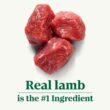 Nutro Natural Choice Lamb & Brown Rice Recipe Small Bites Adult Dry Dog Food, 30 lbs.