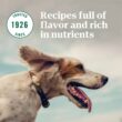 Nutro Natural Choice Lamb & Brown Rice Recipe Small Bites Adult Dry Dog Food, 30 lbs.