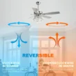 Parrot Uncle Zuniga F6222A110V 52 in. Indoor Chrome Downrod Mount Crystal Chandelier Ceiling Fan with Light Kit and Remote Control