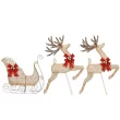 Reindeer and Sleigh Lighted Display