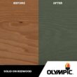 Olympic OLY253-05 Maximum 5 Gal. Ebony Gray Solid Color Exterior Stain and Sealant in One