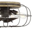 Trent Austin Design 22" Evaro 3 - Blade Caged Ceiling Fan with Light Kit Included