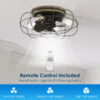 Trent Austin Design 22" Evaro 3 - Blade Caged Ceiling Fan with Light Kit Included