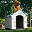 Aunyae Plastic Insulated Dog House (32” H X 31” W x 34” D)