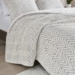 Caureen Ivory and Grey Ultra Plush Down Alternative Comforter Set