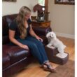 Easy Steps 2 Step Pet Stair