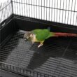 Gabbert 53.5'' Iron Play Top Floor Bird Cage with Wheels