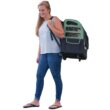 I-GO2 Plus Pet Carrier