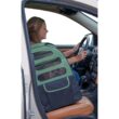 I-GO2 Plus Pet Carrier
