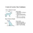 I-GO2 Plus Pet Carrier