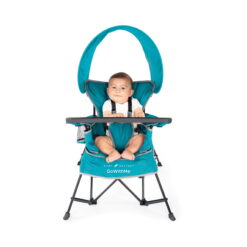 Baby Delight Go With Me Jubilee Deluxe Portable Chair, Teal