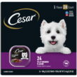 CESAR Classic Loaf in Sauce Filet Mignon Flavor Wet Dog Food Multipack, (24 Pack) 3.5 oz.Trays