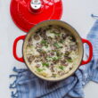 Lodge 5.5 Quart Enameled Cast Iron Dutch Oven, Red Lodge 5.5 Quart Enameled Cast Iron Dutch Oven, Red