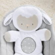 Ingenuity Soothe 'n Delight 6-Speed Portable Baby Swing with Music - Cuddle Lamb (Unisex)