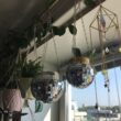 6inch Disco Ball Planter Disco Planter for Indoor Plants Disco Ball Plant Hanger Pots