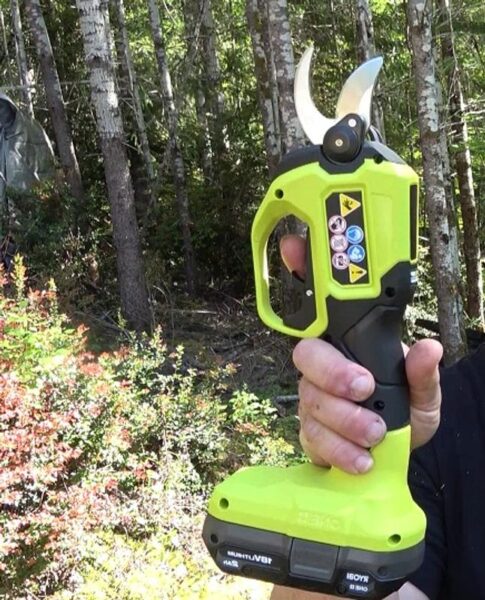 RYOBI P2505BTL ONE+ HP 18V Brushless Cordless Pruner (Tool Only)