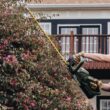 Green Machine GMHT6200 62V Brushless 25in. Cordless Battery Push start Hedge Trimmer with Rotating Handle and 2.5 Ah Batter and Rapid Charger