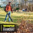RYOBI RY404170 40V HP Brushless Whisper Series 165 MPH 730 CFM Cordless Battery Backpack Blower with (2) 6.0 Ah Batteries and Charger