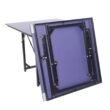 SalonMore Table Tennis Table for Small Spaces, Portable Table with Ping Pong Net, for Indoor and Outdoor Games