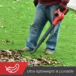 PowerSmart 20V Cordless Handheld Turbo Blower with 2.0 Ah Battery and Charger