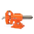 Pony 5-in Cast Iron Bench Vise