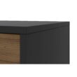 Benzara 17.32-in W x 29.53-in H Wood Composite Black and Brown Freestanding Utility Storage Cabinet