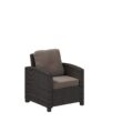 Patio Sense Wicker Mocha Metal Frame Stationary Chaise Lounge Chair(s) with Tan Cushioned Seat