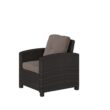 Patio Sense Wicker Mocha Metal Frame Stationary Chaise Lounge Chair(s) with Tan Cushioned Seat
