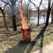 Sportsman Series Folding Steel Fire Cage