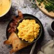Nutrient Survival Powdered Eggs | Non-Perishable #10 Can |Freeze Dried Camping Meals | Emergency & Survival Food