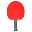 Butterfly Freitas ALC Pro-Line Racket + Dignics 09c + Dignics 05