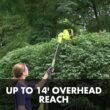Sun Joe Electric Telescoping Pole Hedge Trimmer, Multi-Angle Head, 21-inch, 4-Amp