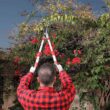 Kamikaze Telescopic Hedge Shears KM-40. Aluminum and Rubber Handles. Bypass cutting Bush Trimmer 9.8 inch. All Leaf Types. Lever System Garden Shears Kamikaze Telescopic Hedge Shears KM-40. Aluminum and Rubber Handles. Bypass cutting Bush Trimmer 9.8 inch. All Leaf Types. Lever System Garden Shears