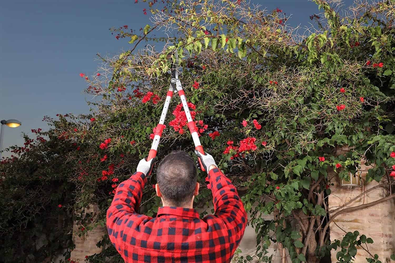 Kamikaze Telescopic Hedge Shears KM-40. Aluminum and Rubber Handles. Bypass cutting Bush Trimmer 9.8 inch. All Leaf Types. Lever System Garden Shears Kamikaze Telescopic Hedge Shears KM-40. Aluminum and Rubber Handles. Bypass cutting Bush Trimmer 9.8 inch. All Leaf Types. Lever System Garden Shears - Image 3