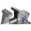 Wilton 4-1/2-in Cast Iron Mechanics pro Bench Vise