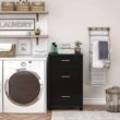Ameriwood Home Callahan 23.69-in W x 39.25-in H Wood Composite Obsidian Black Freestanding Utility Storage Cabinet Ameriwood Home Callahan 23.69-in W x 39.25-in H Wood Composite Obsidian Black Freestanding Utility Storage Cabinet